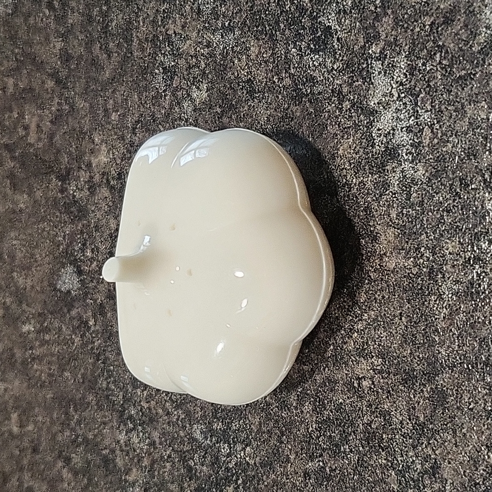 FREE Add on With any Purchase Garlic Magnet